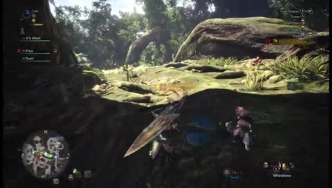 !!! ASSERTING DOMINANCE !!!