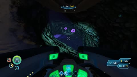 vinru meets a friend
