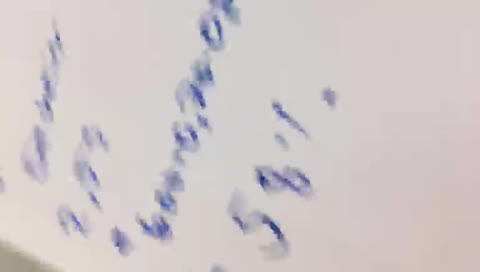 Mobilstrømmingen til playnark42