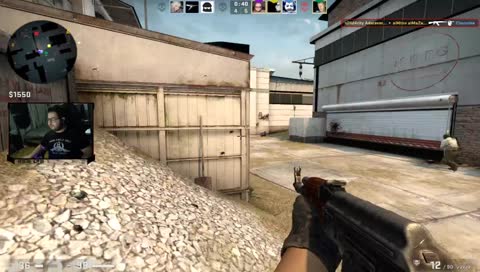 HE tamer