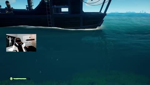 When the cat's away...