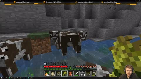 cow.exe has stopped working