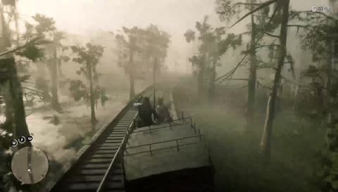 Gators Have No Chill