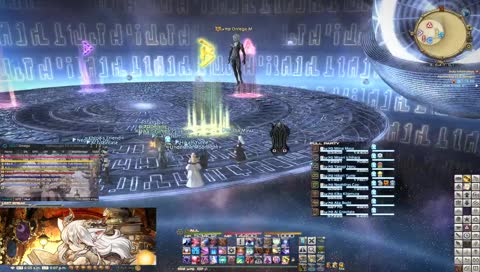 typical chimp behavior