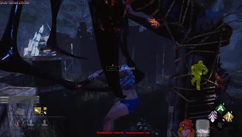 That is a dwight if I've ever seen a dwight...