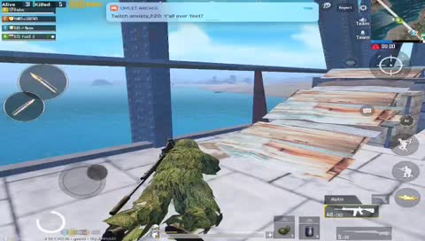 Peaceful bridge camp.