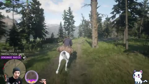 Nid the Ball Inspector