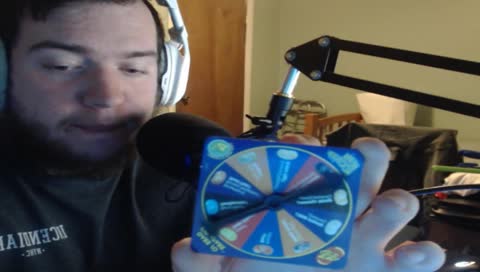 Chocolate pudding or dog food