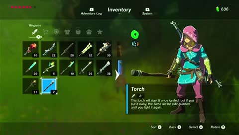 Finding Korok Forest