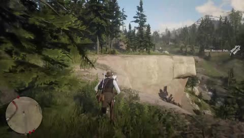 Don't mind the cliff