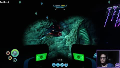 Dancing sharks?