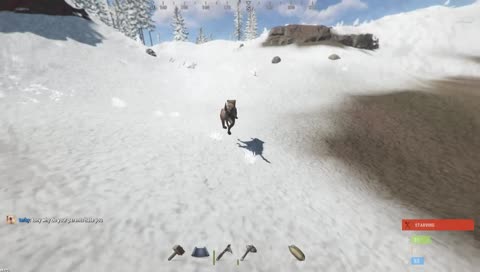 Wolf Fly Hack??!