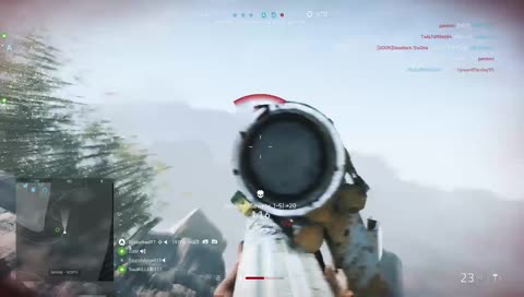 Extreme road kill