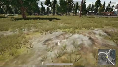 Куплю черепаху