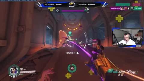 Goose really likes it down below~