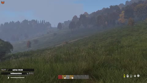 Cheeseburger bird at it again