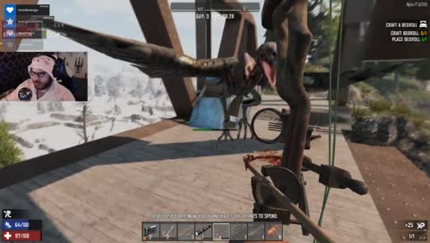 Whoops