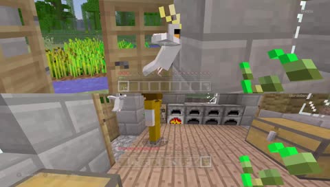 you tried to kill my bird prepare to die