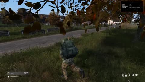 rip car