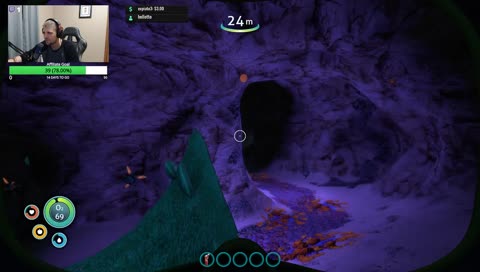 stonescare