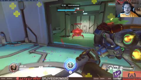 BUG