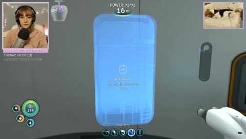 accidental ass