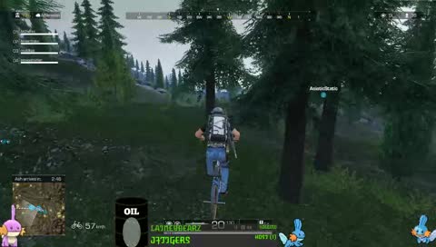 crazy ROE flips