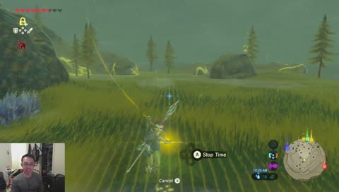 NICE AIM