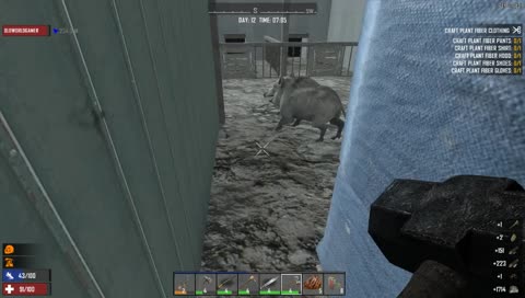 Steve Nails a Pig