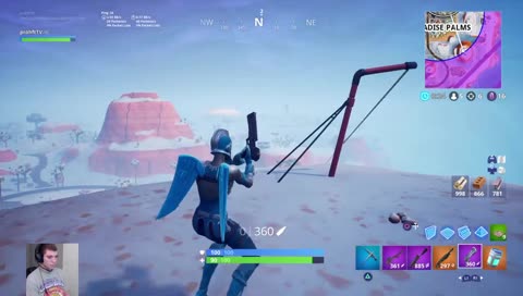 Nice snipe