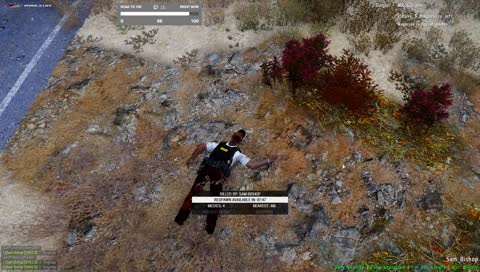 teabag?