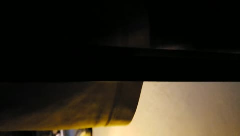 10/10 Jump. Much Majestic. Very Grace. Wow