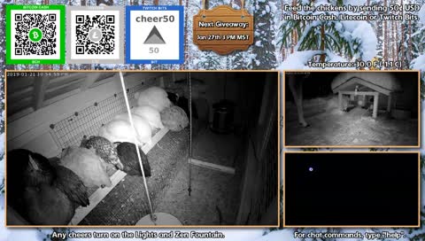 late night visitor