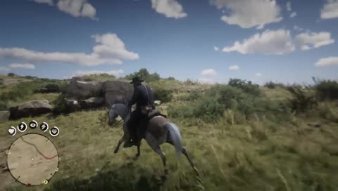 horse lands on Anjanms