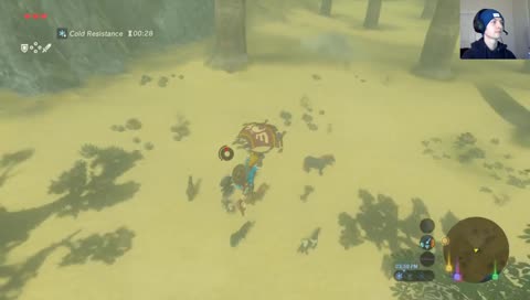 Mega Horse!