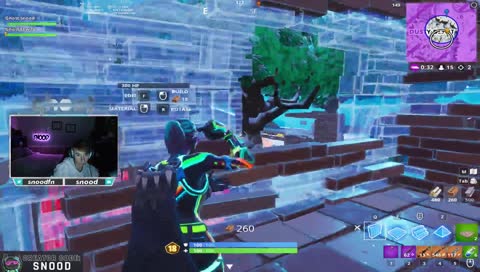 snood or albert einstein