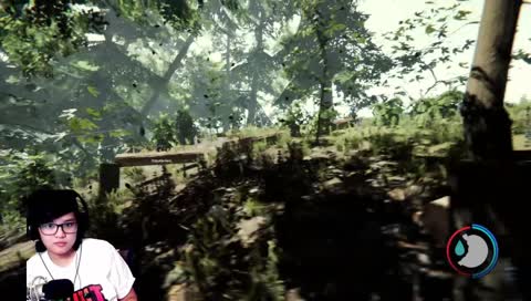 if a tree falls in a forest and nobody was there...