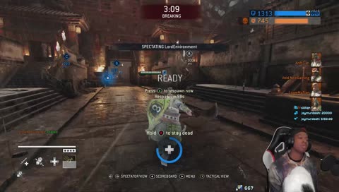 Muli feeling the music...cat not so much