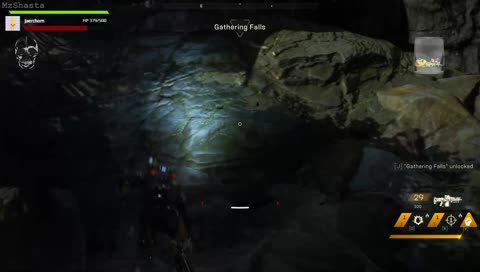 Cat-Turkey-Feather-Frog Animal