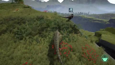 Leap of faith