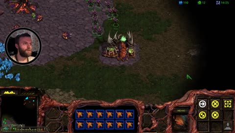 Имитация речи зерглинков