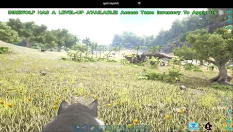 This is indeed SavageWolfie....