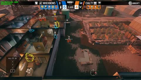 Ace is nuts
