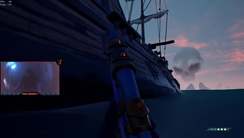 Attention Sharks....