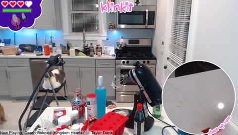 Cats vs Noise