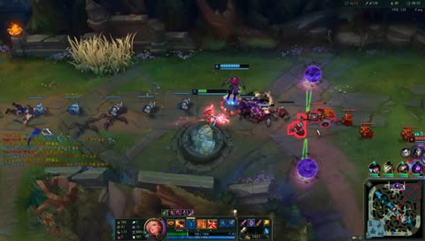 위험한 돌거북과 함께한 쇼