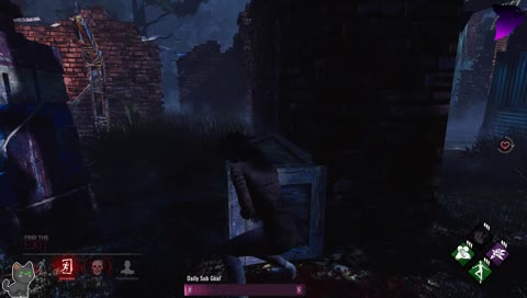 Body Replacement Technique