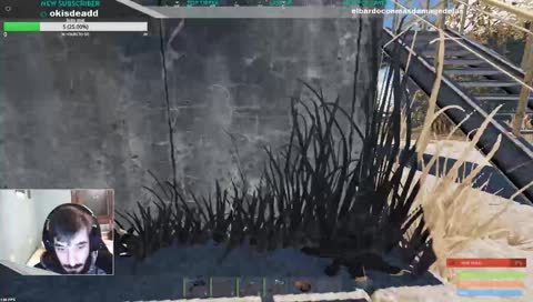 Este es mio... casiii