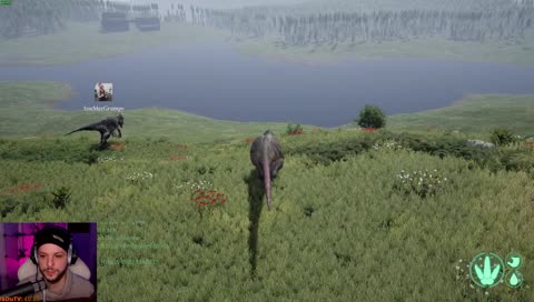 4 Allos gegen 1 Dilo