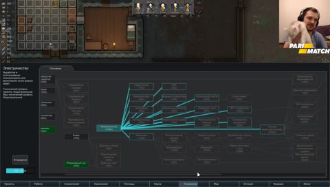 Киця, макро сьёмка